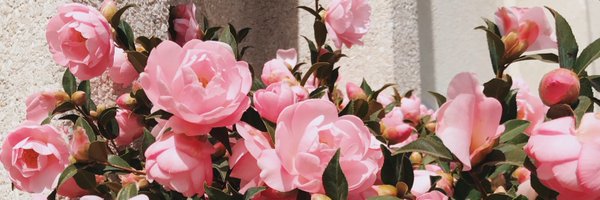 _simoneanne Profile Banner