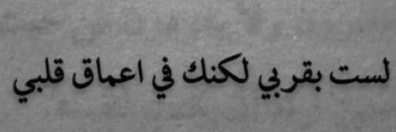 tifosa ⁷ 🇵🇸 🔻 banner