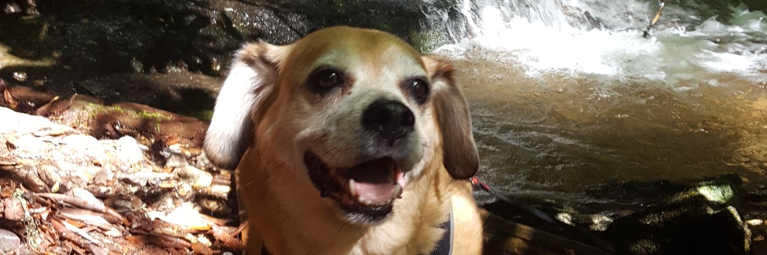 Og_itzBri's profile banner image