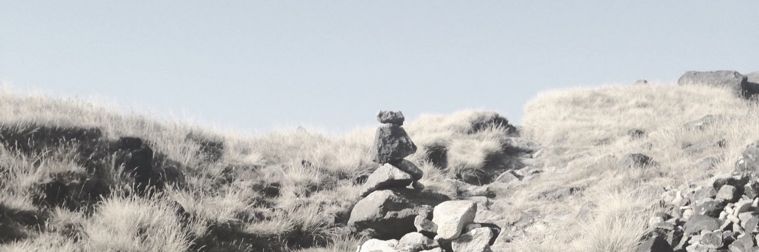 innersleeve's profile banner image