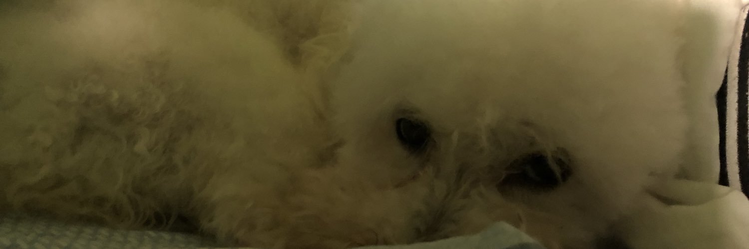 melisapallud's profile banner image