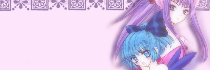 nelfes banner