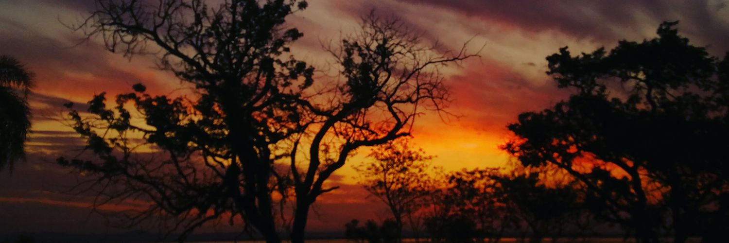 tatisanchezn's profile banner image