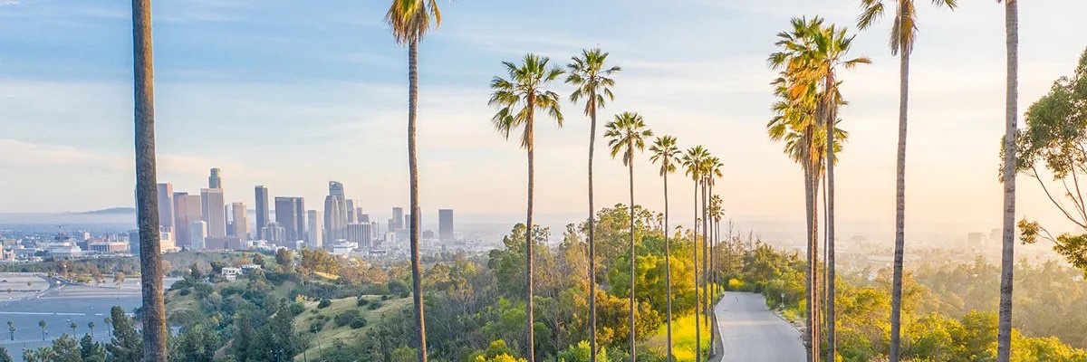 Kusha Davar, MD MBA MS banner