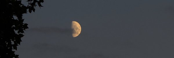 Sadia_e Profile Banner