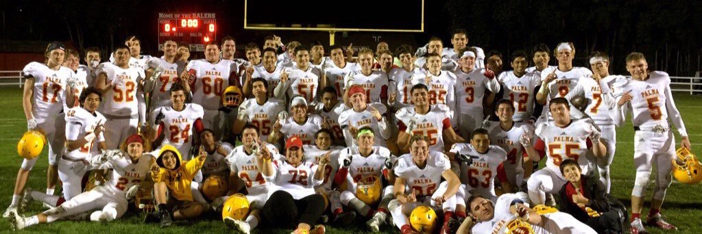 PalmaFootball banner