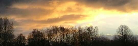 natures_fan's profile banner image