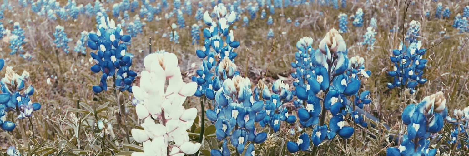 bhixweg's profile banner image