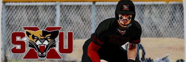 _Flierr Profile Banner