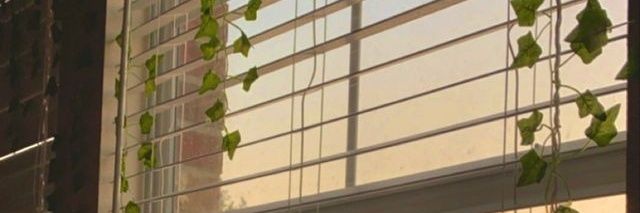 3Edduardo's profile banner image