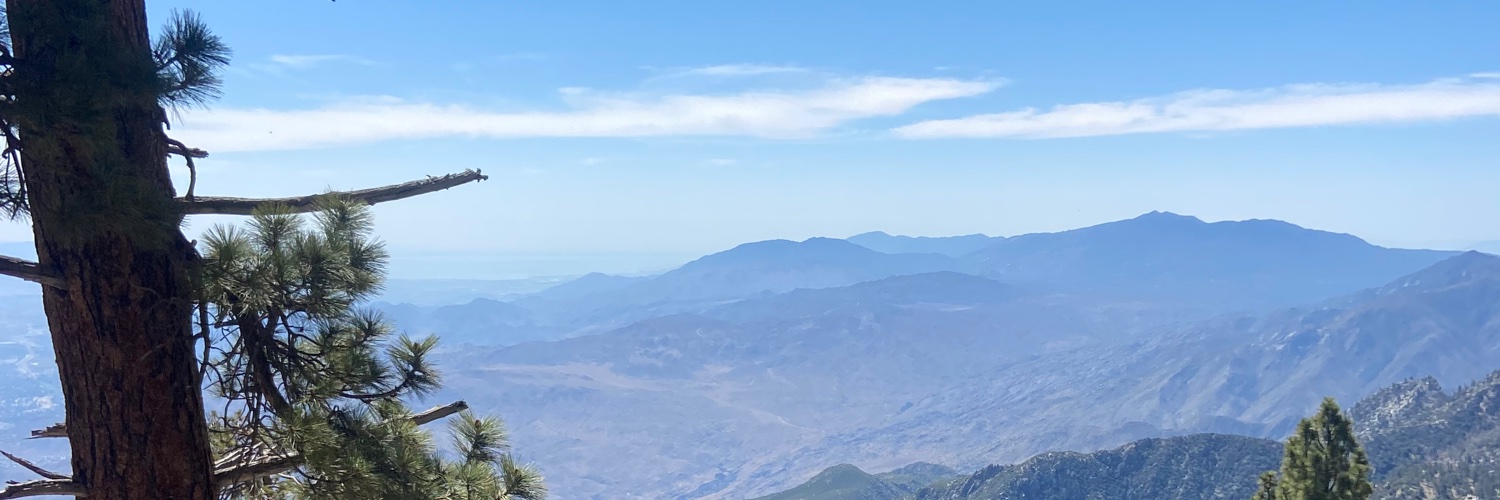 Briansoloony's profile banner image