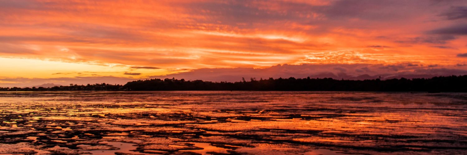 ju_ppinheiro's profile banner image