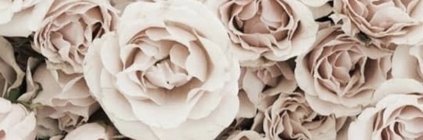 amarissssss_'s profile banner image