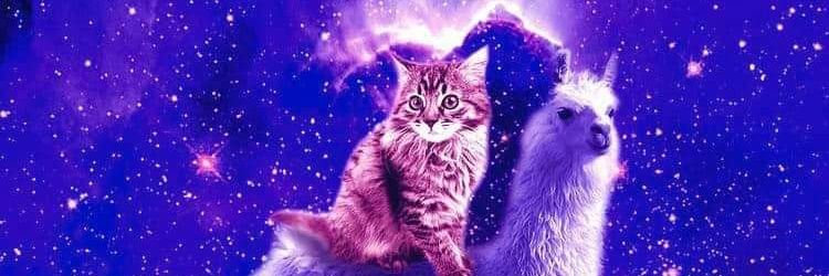 kindagrumpy's profile banner image