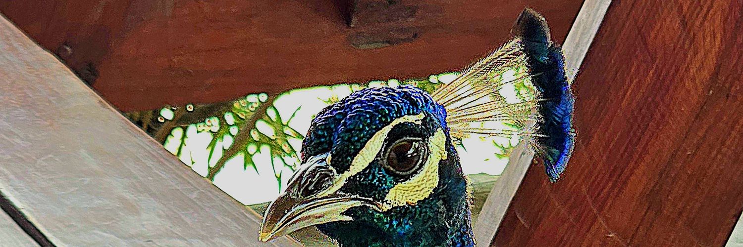 PepeGEscobar's profile banner image