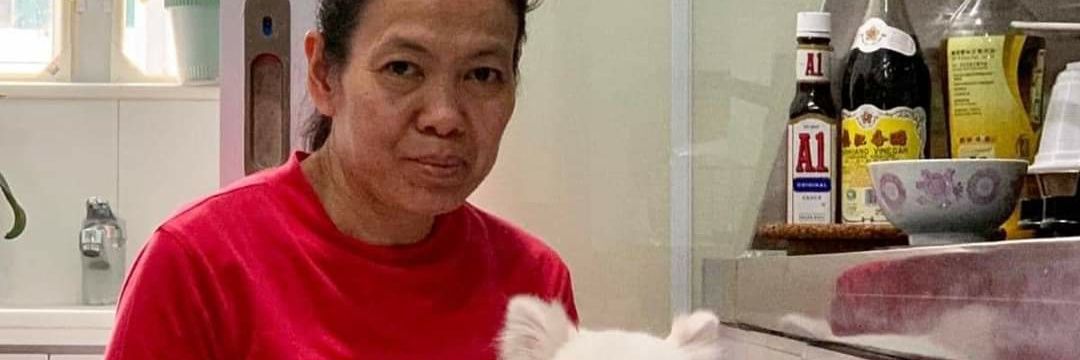 Lelebeth Gregorio banner