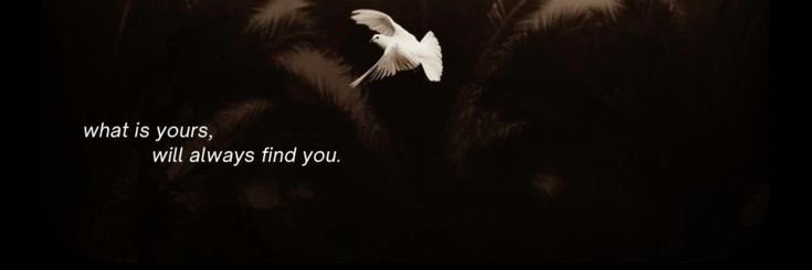 a7medfayed0's profile banner image
