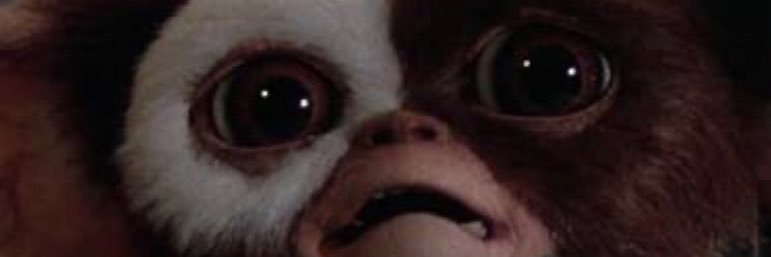 pertyflower's profile banner image