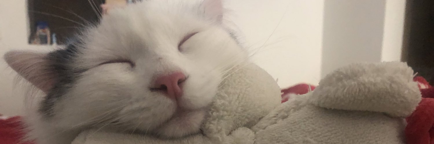 nnietob's profile banner image