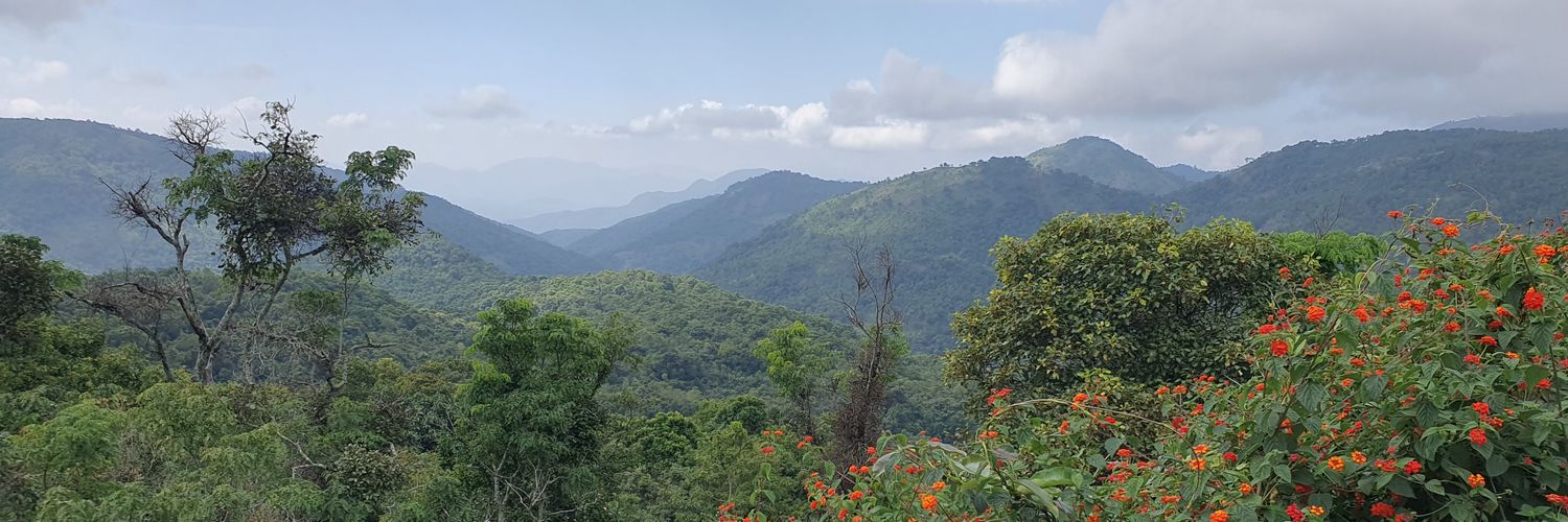 Mohan_Rana's profile banner image