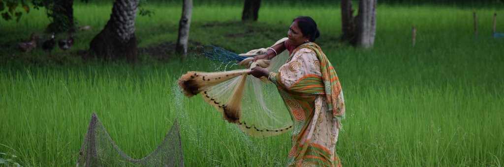 AshokActionaid's profile banner image