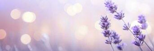 Raji3010 Profile Banner