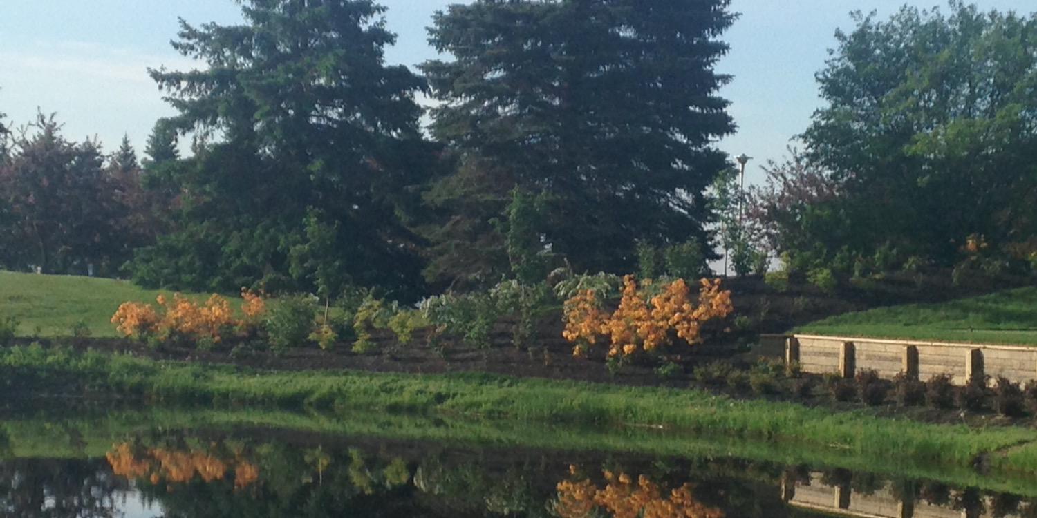 Dean O'Doherty banner