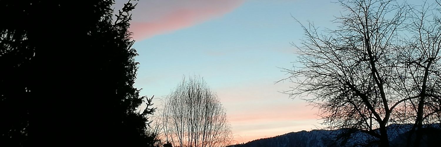 Lochinetor's profile banner image