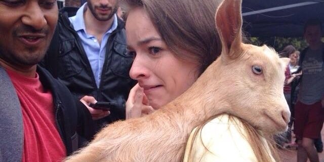 stephmoyles's profile banner image
