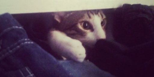 isaMtzSaid's profile banner image
