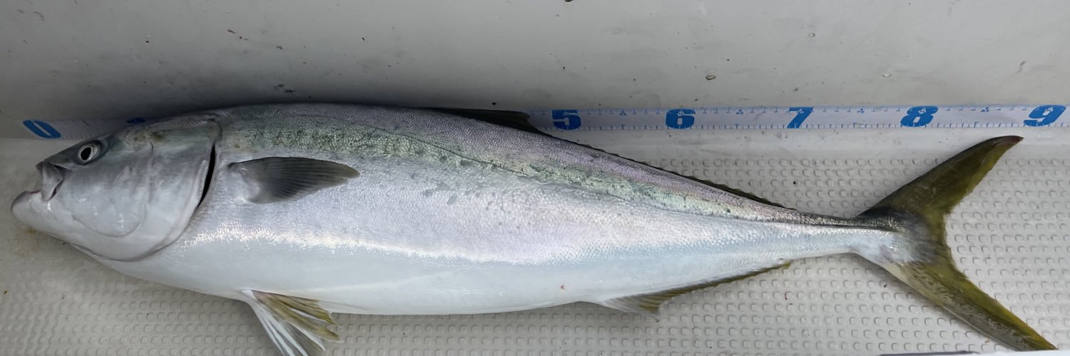 fishing10910141's profile banner image