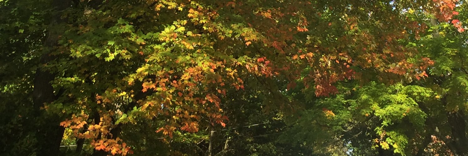 JANDREWS2013's profile banner image