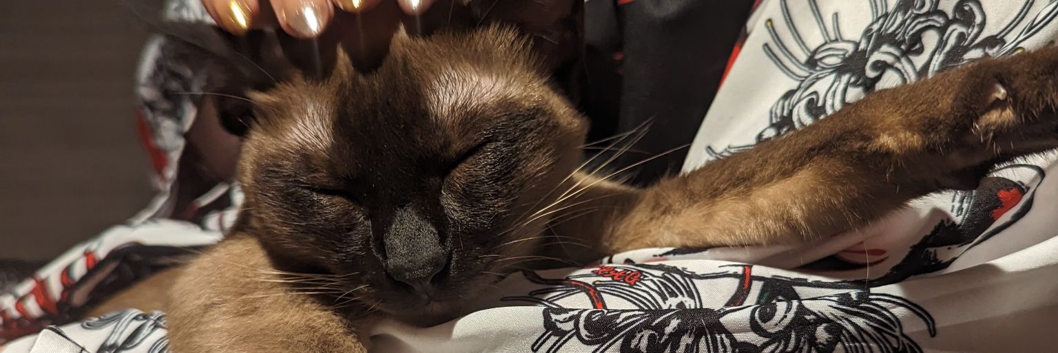 🦇みやびーん🦇 banner