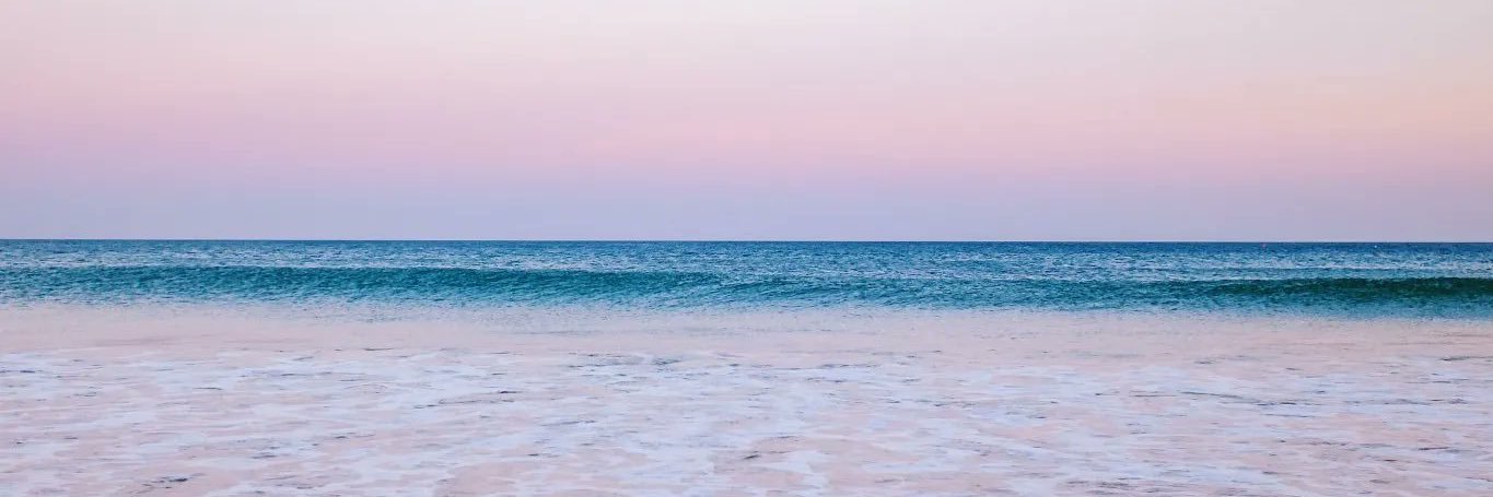 nuriabaccaro's profile banner image