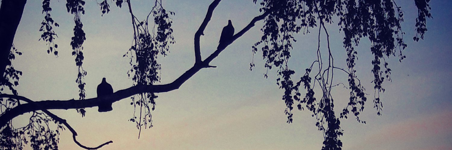 whereismymind47's profile banner image