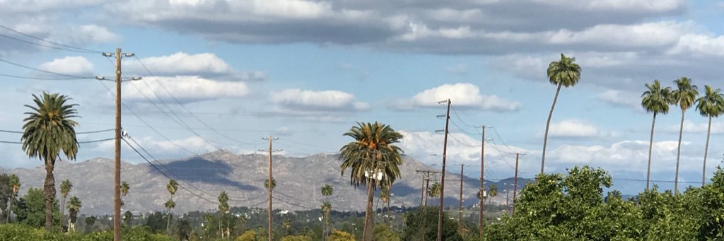 Coach Greenawalt ☕️ banner