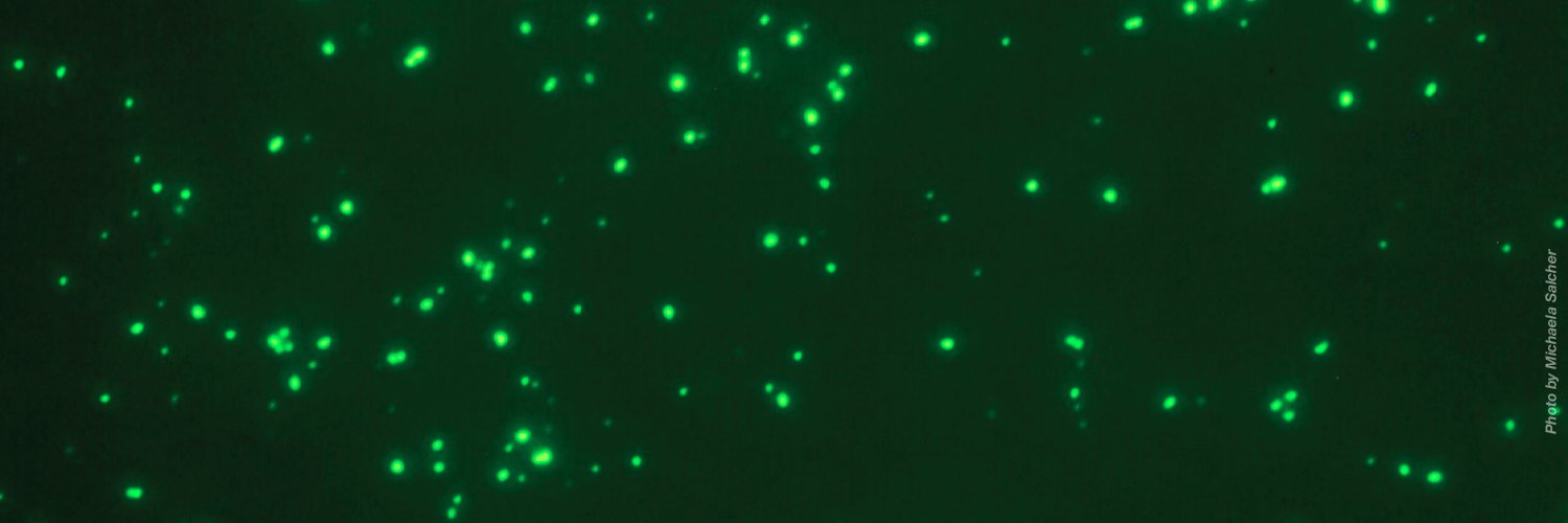 Aquatic Microbial Ecology (AME) banner