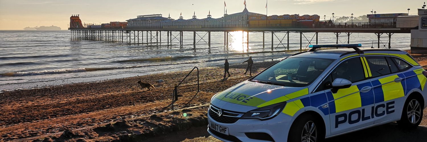 South Devon IRC Sgt banner