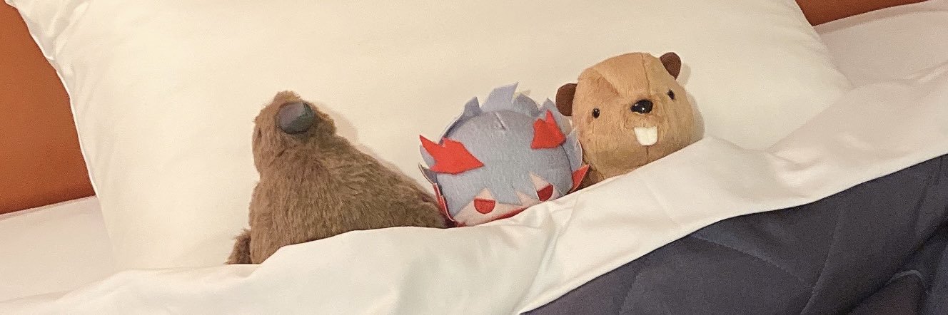 つきゆ➖🐰 banner