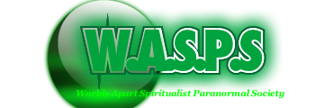 waspsparanormal's profile banner image