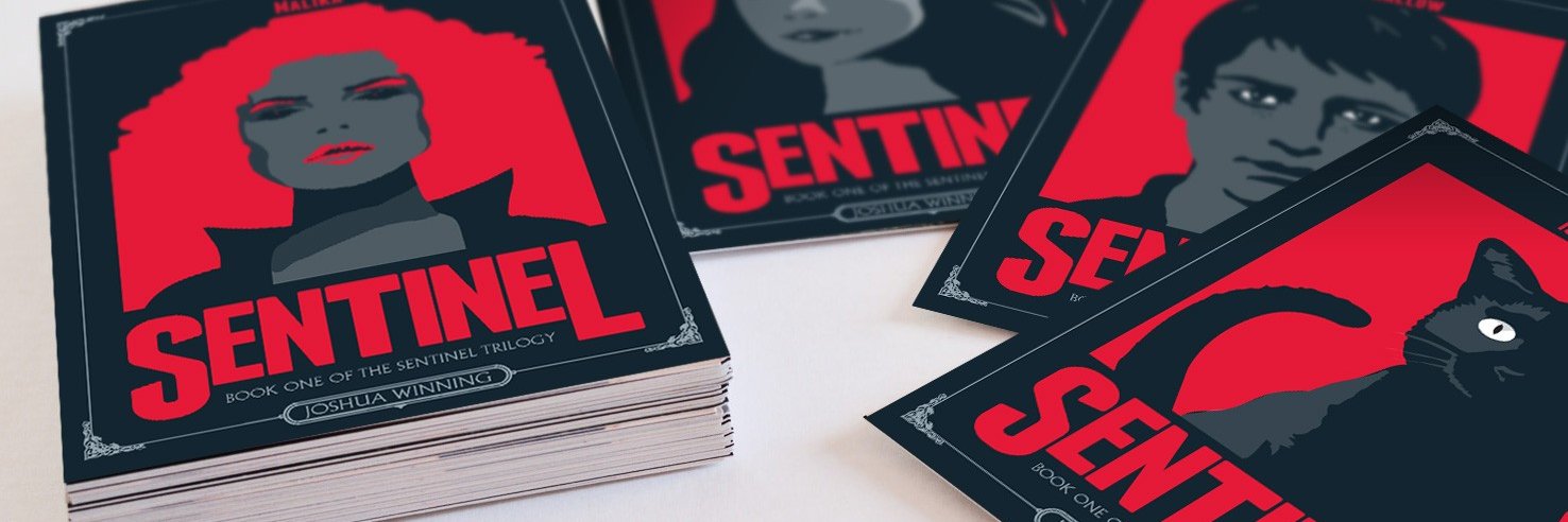 SentinelTrilogy's profile banner image