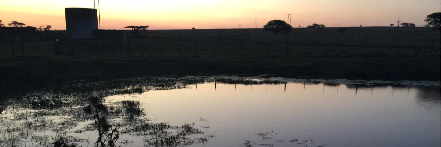 Jean Greyling banner