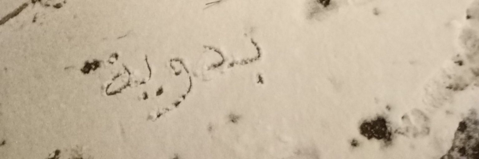 🤎بدويه🤎 banner