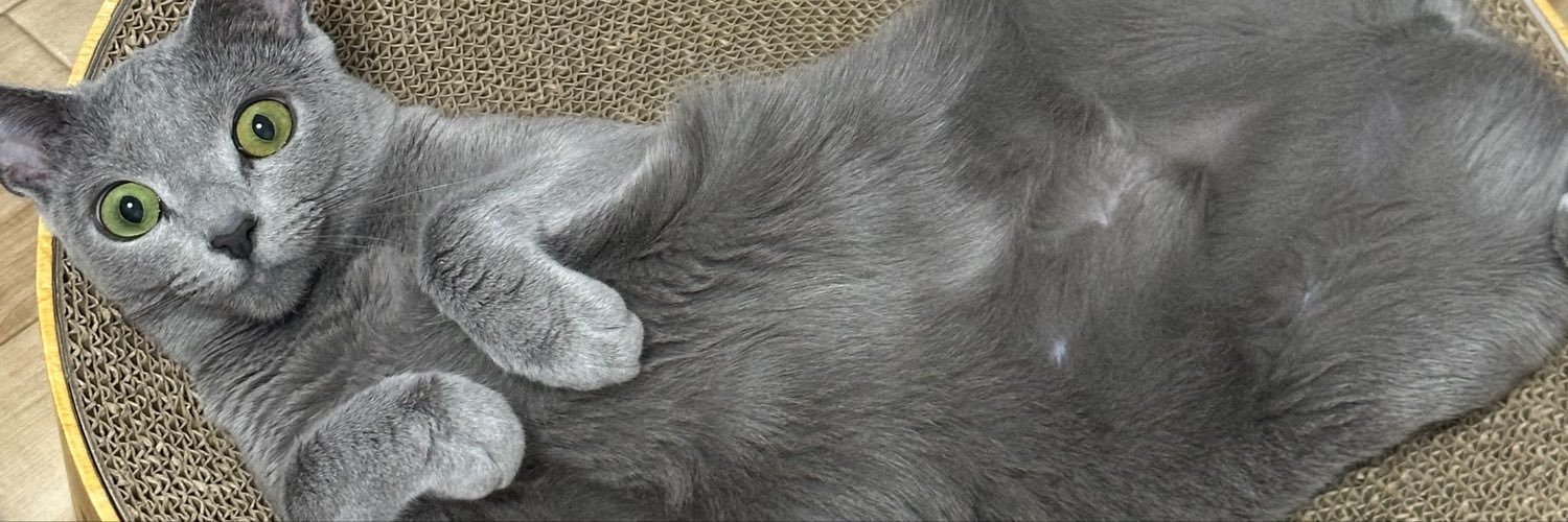rio_m__r's profile banner image