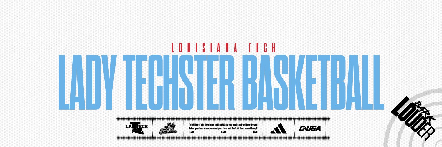 Lady Techsters's banner