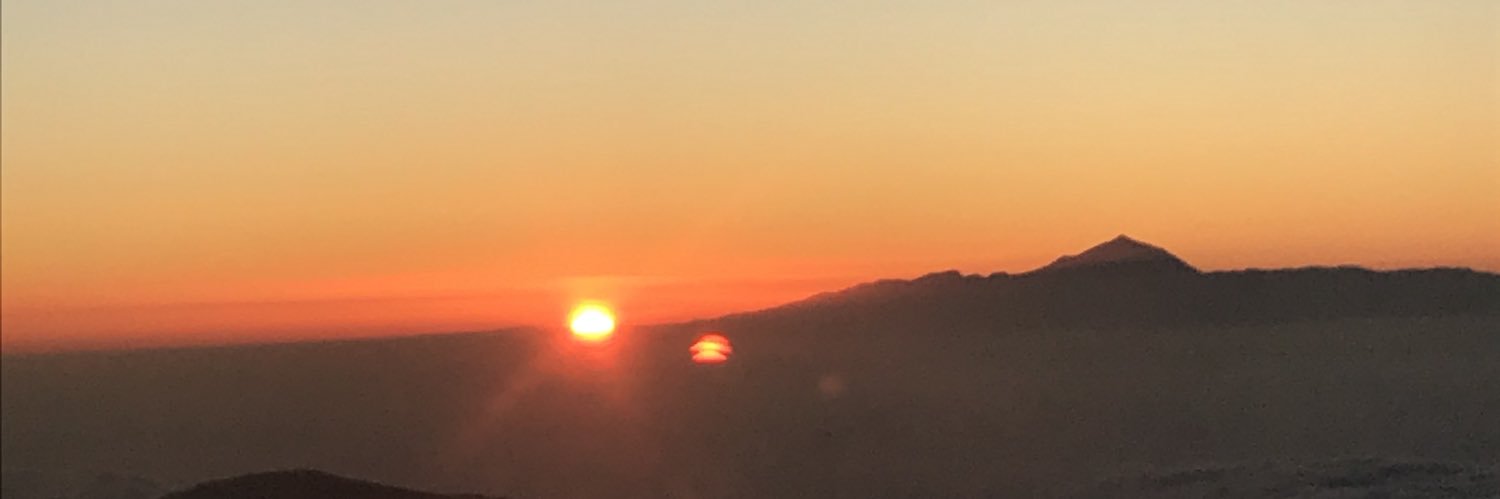 Dani Pendry-Brazier banner