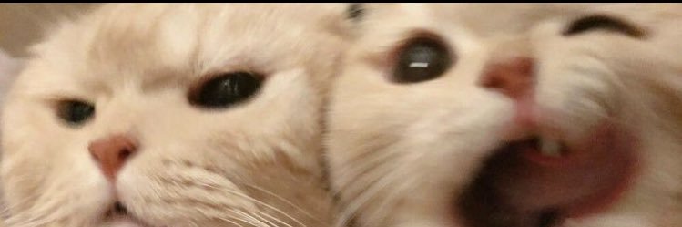 AcostaPatri's profile banner image
