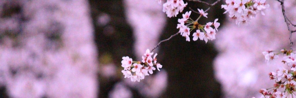 tethugaku_2's profile banner image