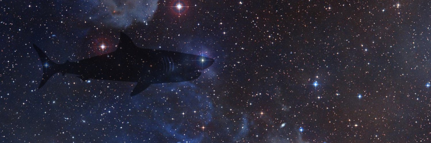 snknjak1's profile banner image
