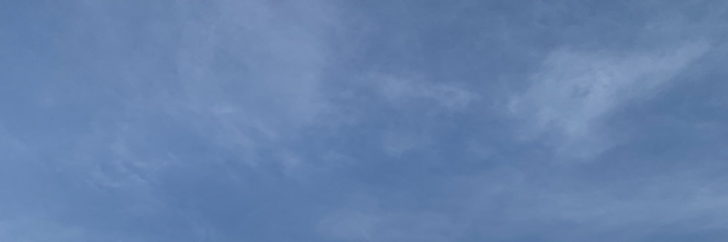 chill guy whimsymaxxing 2026 THE GREAT LOCK IN banner